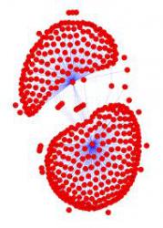 123090images.jpg
