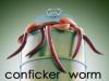 confl-images.jpg
