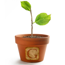 google-plant-startup-225.jpg