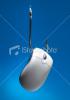 ist2_7375900-mouse-on-a-hook-phishing-concept.jpg