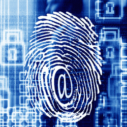 netsec.gif