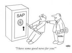 sap.jpg